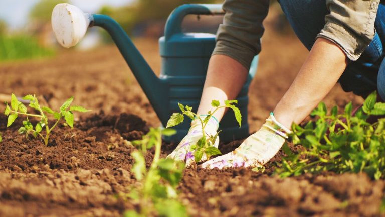 Gardening