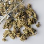 Medical cannabis buds scattered from package on white from above